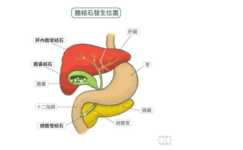 肝胆相照1